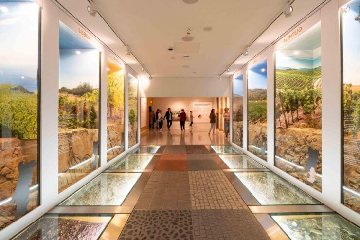 Porto: Taylor's Port Cellar Tour WOW Museum Pack - Ticket Details