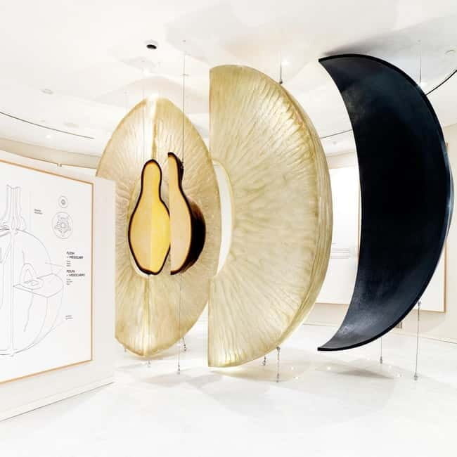 Porto: Taylors Port Cellar Tour & WOW The Wine Experience - Good To Know