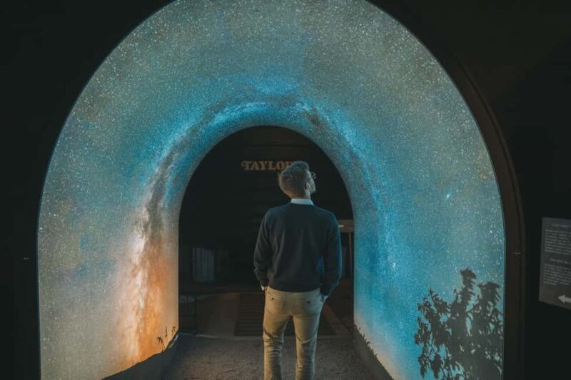 Porto: Taylors Port Cellar Tour & WOW The Wine Experience - Why This Tour Works Well