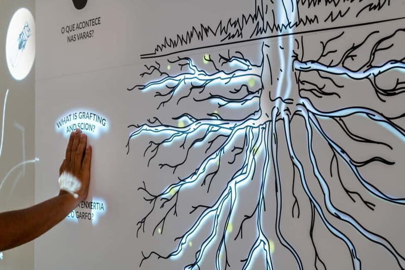 Porto: Taylors Port Cellar Tour & WOW The Wine Experience - Who Will Love This Experience?