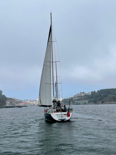 Porto: The Best Douro Boat Tour - Experience Highlights