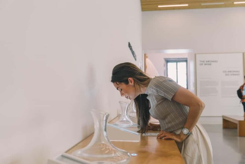 Porto: The Wine Experience, Best Wine Museum in the World - Good To Know