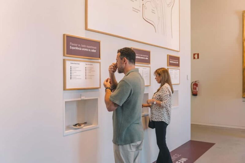 Porto: The Wine Experience, Best Wine Museum in the World - The Location and Setting