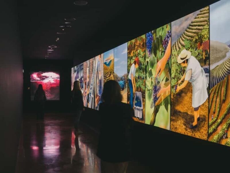 Porto: The Wine Experience, Best Wine Museum in the World - Practical Tips for Your Visit