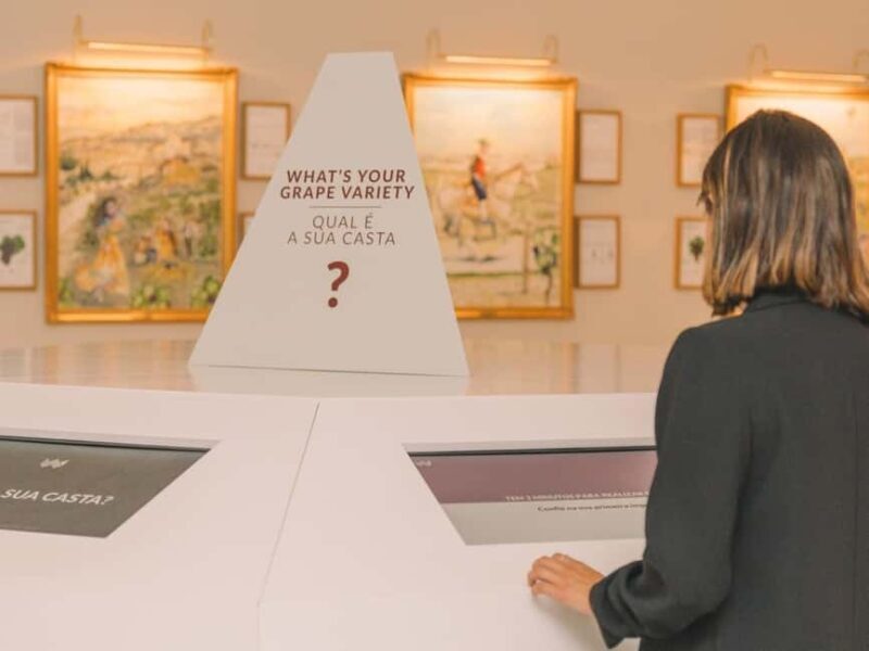 Porto: The Wine Experience, Best Wine Museum in the World - Who Will Love This Experience?