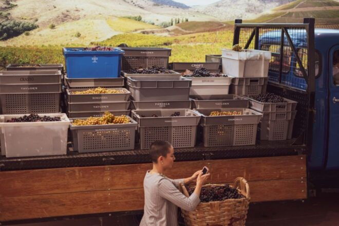 Porto: The Wine Experience Entry Ticket & Tasting at WOW - Customer Reviews