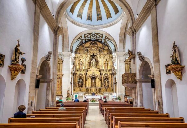 Porto to Aveiro & Costa Nova Day Trip Pass - Cultural Experiences and Guided Tours