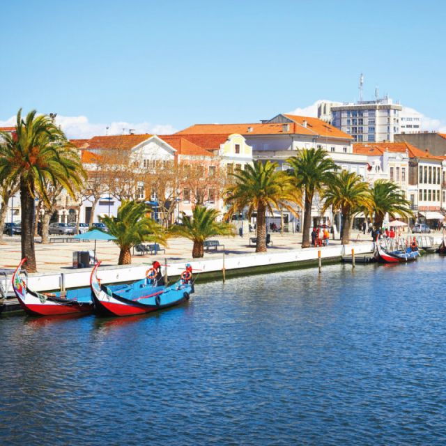 Porto to Aveiro Delights - Beaches, Castles, Wine and Canals - Experience Highlights