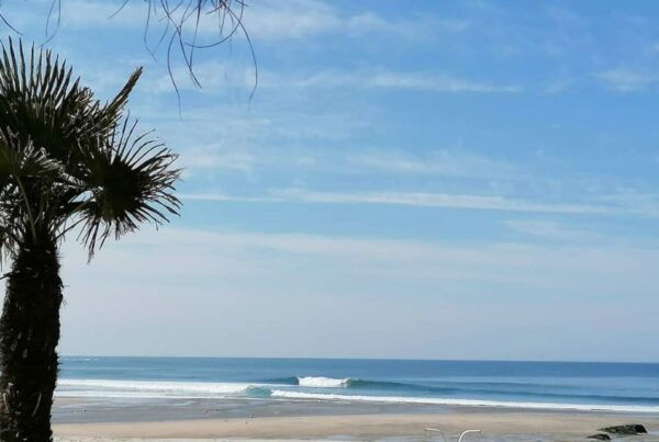 Porto to Caminha > Surf Course and Stately Accommodation - Frequently Asked Questions