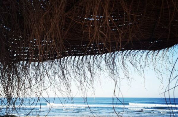 Porto to Caminha > Surf Course and Stately Accommodation - The Sum Up