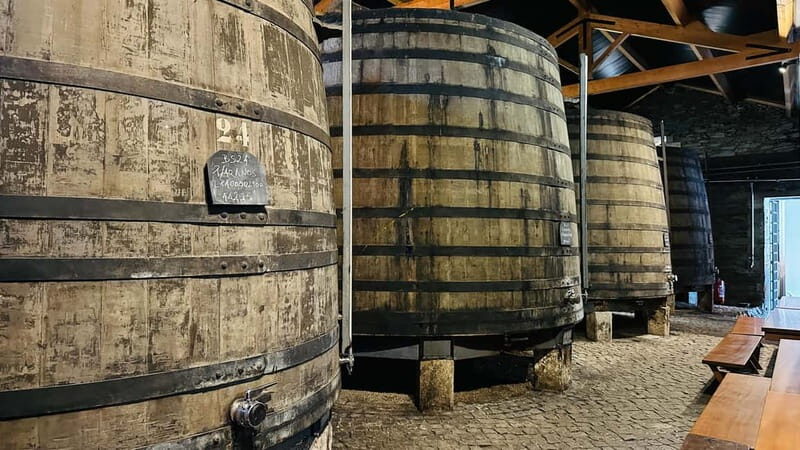 Porto to Gaia Experience: City Walk and Wine Cellars - Starting at Igreja da Santíssima Trindade