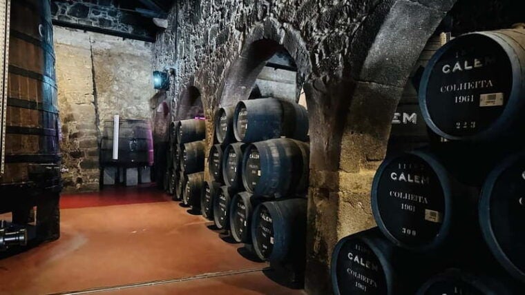 Porto to Gaia Experience: City Walk and Wine Cellars - What We Loved About This Tour