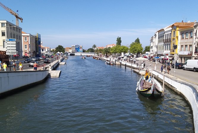 Porto to Lisbon Private Tour, Choose 2 or 3 Stops Along the Way - Guided Tours and Historical Insights