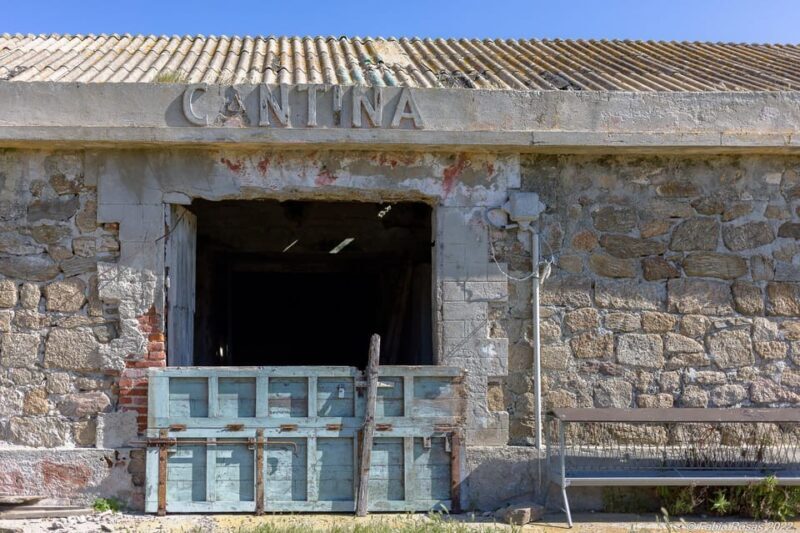 Porto Torres: rent your mountain bike to discover Asinara - Practical details and tips