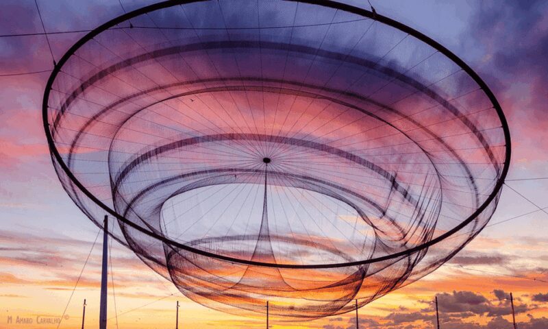 Porto Tour: One tour, a thousand stories by tuk tuk - 3 hours - FAQs