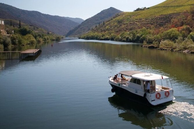 PORTO: Tour to the Douro Valley, Premium Cruise, Lunch and 2 Wineries - Tour Pricing and Booking