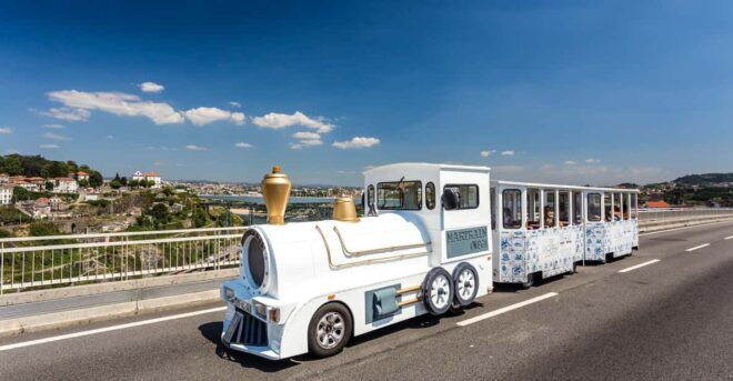 Porto: Train City Tour With Wine Tasting and Optional Cruise - Inclusions and Accessibility