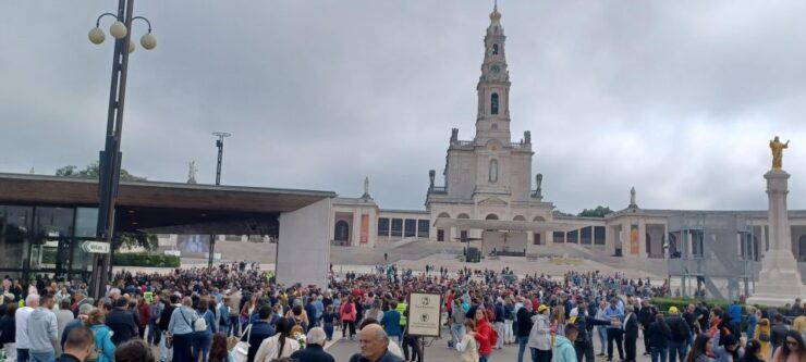 Porto: Transfer From Lisbon Stop Fatima & Coimbra - Good To Know