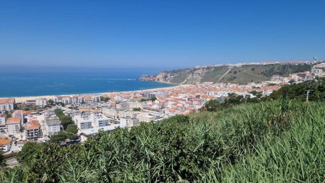 Porto: Transfer to Lisbon With Stops in Aveiro-Nazaré-Obidos - Vehicle Information