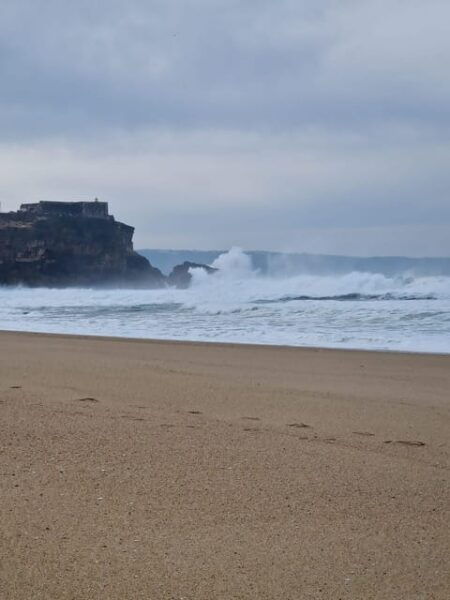 Porto: Trip to Lisbon With Stops in Aveiro-Nazaré-Óbidos - Óbidos: Historic Medieval Town