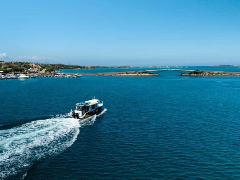 Porto Vecchio: Boat Tour to Maddalena Archipelago (Sardinia) - Real Experience Insights from Reviewers