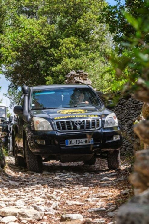 Porto Vecchio: Cuscionu Plateau & Alta Rocca 4x4 Tour - Itinerary Highlights