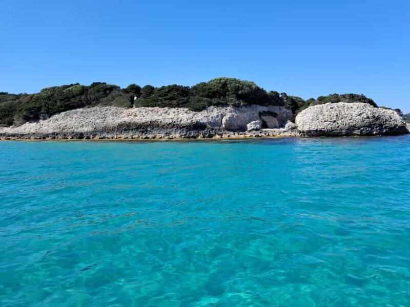 Porto-Vecchio : Discover Nature Through the Lavezzi Islands - Authentic Insights from Reviews