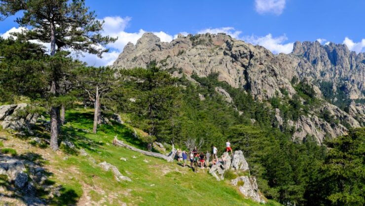 Porto Vecchio: Ospedale Forest & Bavella Needles 4x4 Tour - Activity Details