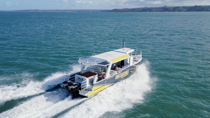 Porto Vecchio : Relaxing Boat Day Trip with Onboard Lunch - Final Thoughts