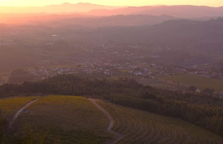 Porto: Vinho Verde Experience With 2 Wineries & Lunch - Good To Know