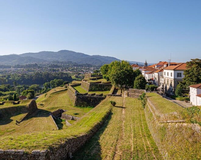 Porto: Vinho Verde Experience With 2 Wineries & Lunch - Highlights of the Tour