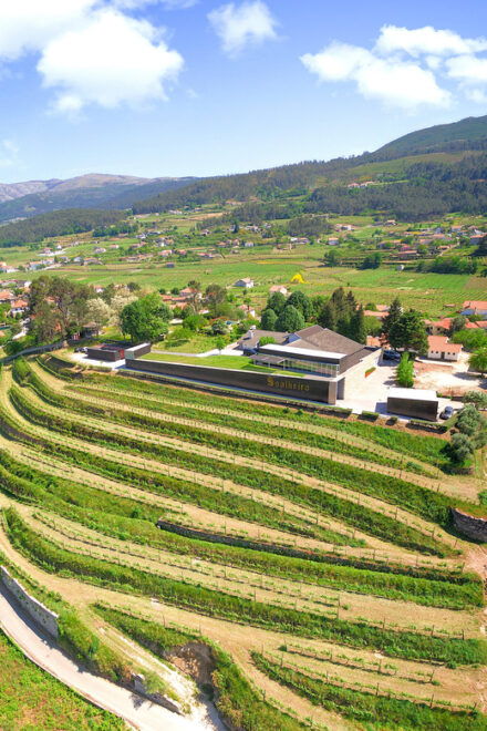 Porto: Vinho Verde Experience With 2 Wineries & Lunch - Unique Aspects of the Experience