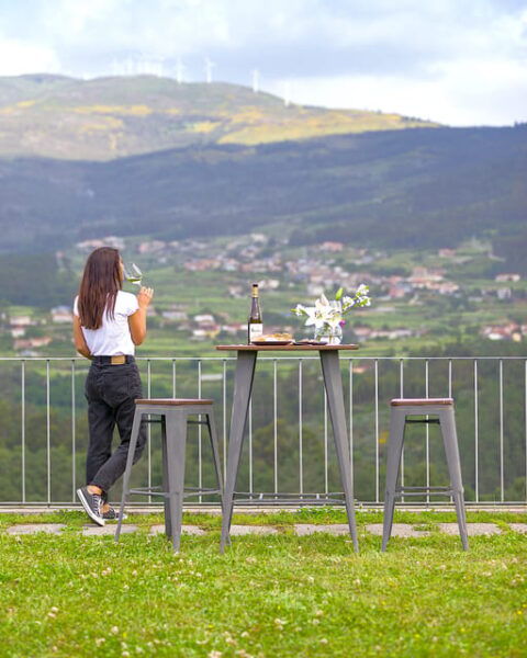 Porto: Vinho Verde Experience With 2 Wineries & Lunch - Discover Monção