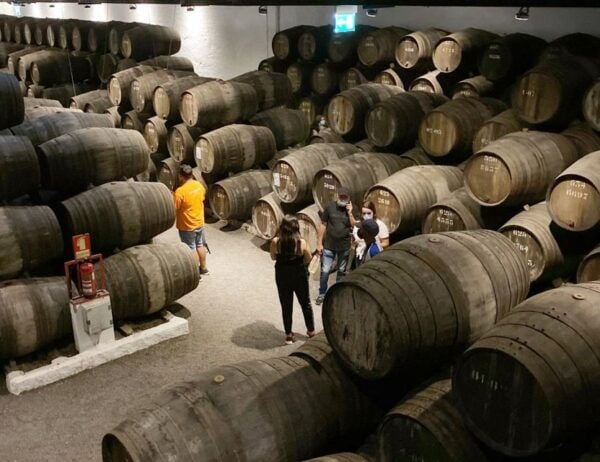 Porto: Walking and Wine Tasting Tour With Snacks - Trying Wines From the Douro Valley Region