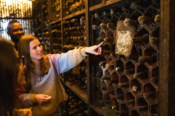 Porto Wine & Dine: Port Wine Cave and Food Tour - Experience Highlights