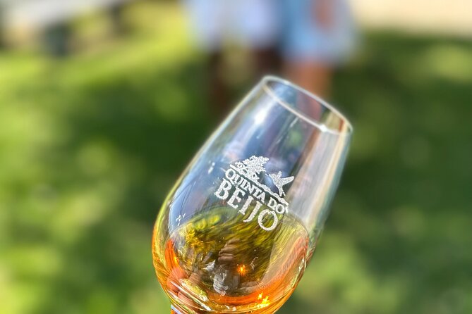 Porto Wine Tasting With GUIDED TOUR - Tour Pricing and Duration
