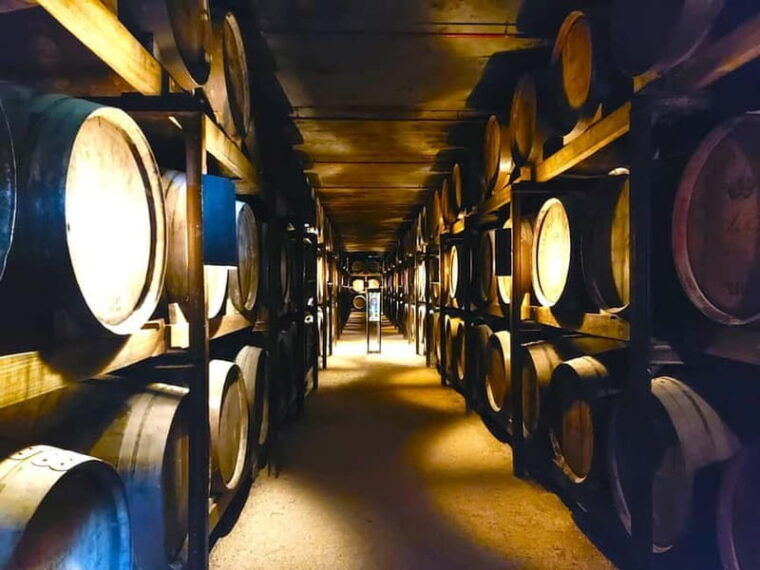 Porto: Wine Tastings (Green Wine) & Lunch & Porto Old Tour - Strolling the Gardens and Natural Beauty