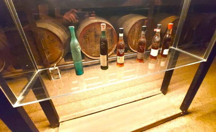 Porto: Wine Tastings (Green Wine) & Lunch & Porto Old Tour - Discovering Porto in Style: The Electric Vintage Car Tour