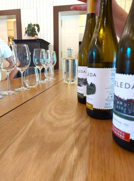 Porto: Wine Tastings (Green Wine) & Tradicional Lunch - Booking Directions