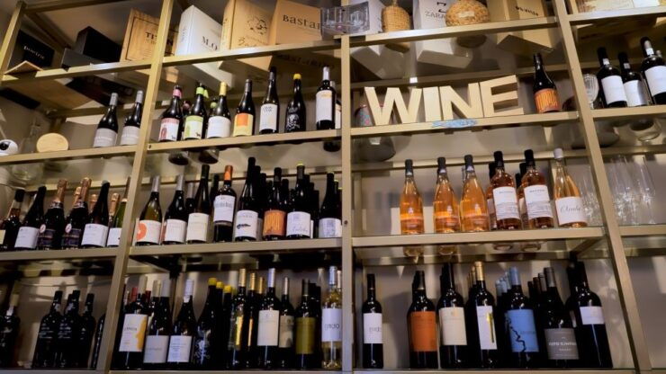 Porto: Wine Tour & One Hour Fado Show | All Included - Itinerary