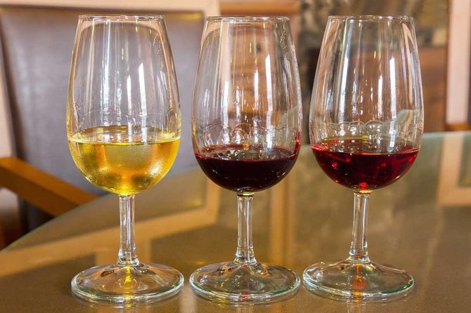 Porto Wine Tour With Tasting and Wine Houses Visit - Traveler Experience