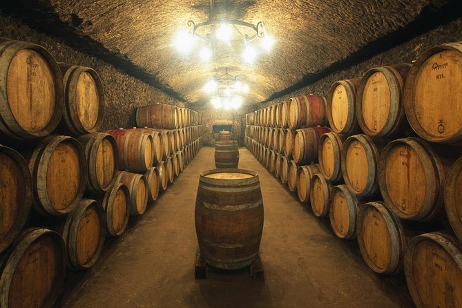 Porto Wine Tour With Tasting and Wine Houses Visit - Tour Guide and Overall Experience