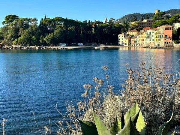 Portofino and Santa Margherita From Genoa With Local Driver - Frequently Asked Questions