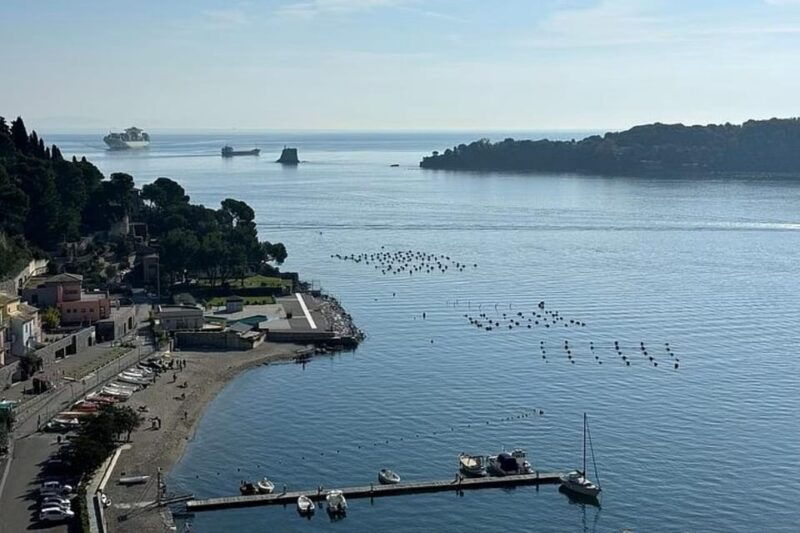 Portofino: Gems of Monterosso and Rapallo Private Boat Tour - Who Will Love This Tour?