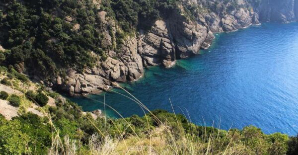 Portofino Park: Guided Eco-Hike & Sea-View Tasting - Booking and Cancellation Policies