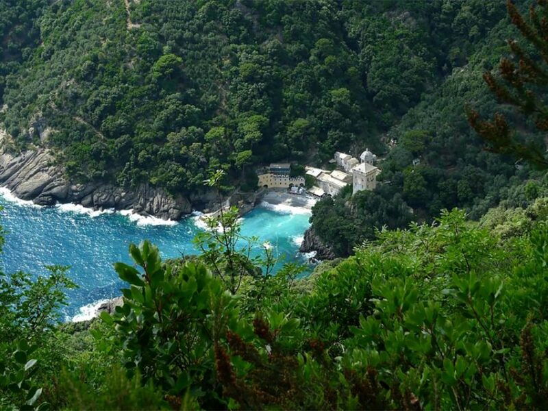 Portofino Park Trekking- Discover San Fruttuoso Bay - Good To Know