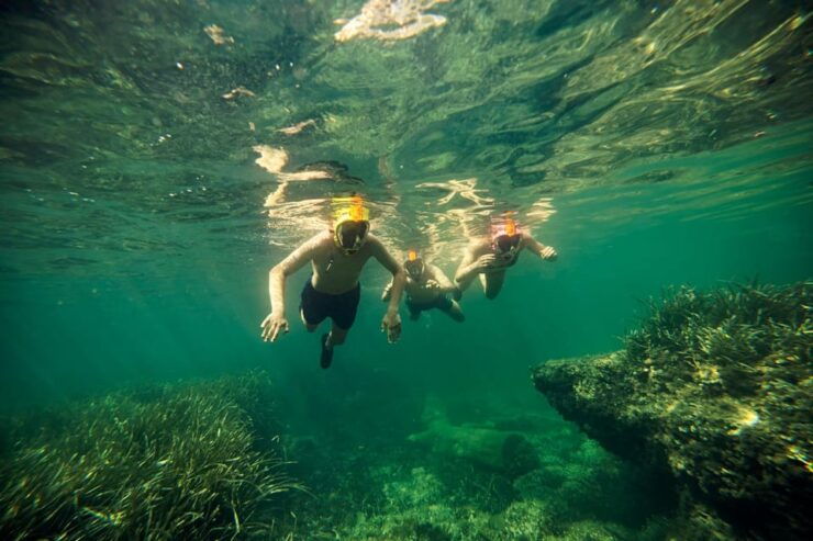 Portofino Reserve: Snorkeling Experience and Dinghy Tour - Good To Know