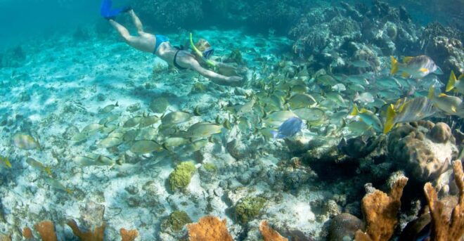 Portofino Reserve: Snorkeling Experience and Dinghy Tour - Tour Highlights