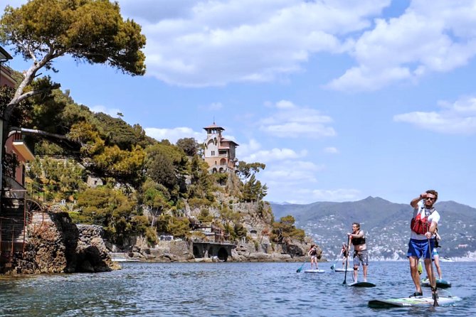 Portofino Small-Group Paddleboarding Tour - Overview and Description of the Tour