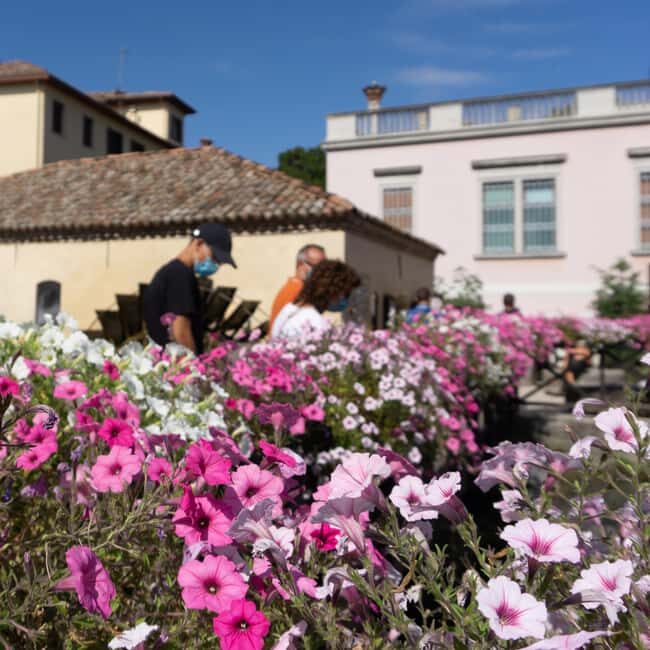 Portogruaro: Eastern Veneto through the Senses Tasting - FAQ